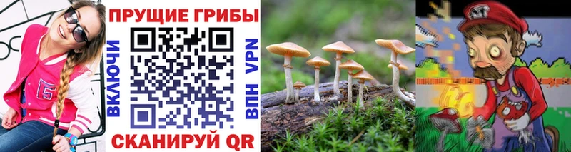 купить наркотик  гидра зеркало  Галлюциногенные грибы ЛСД  Жуков 